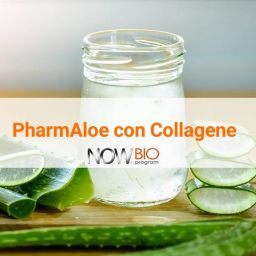 NOW Detox Aloe e Collagene ml.500